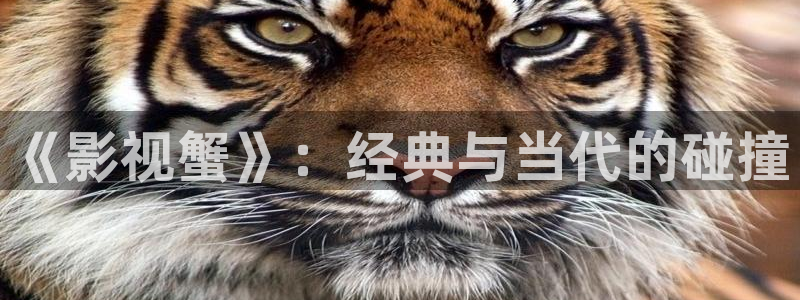 星辰影院电视剧在线看免费完整版