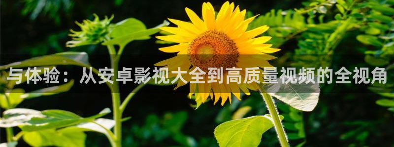 新西游记星辰影院