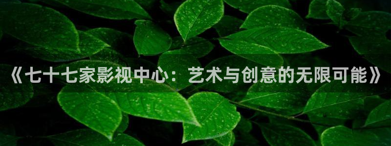 芈月传星辰影院