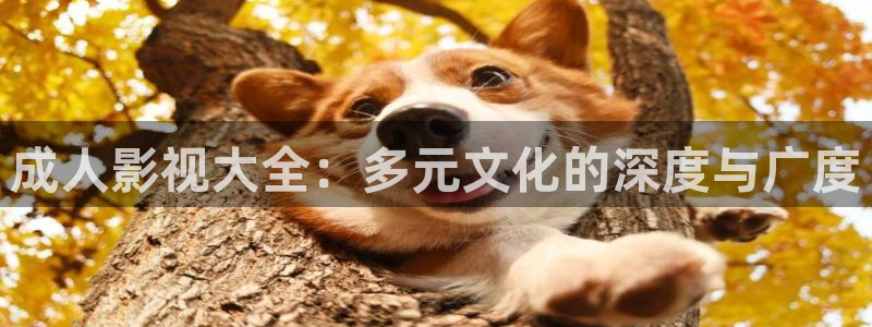 免费下载星辰影视