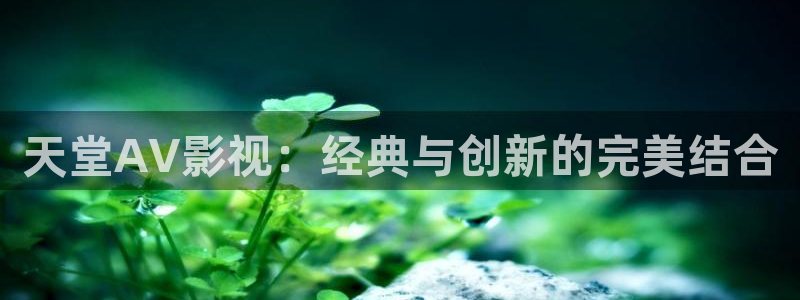 竹夫人星辰影院